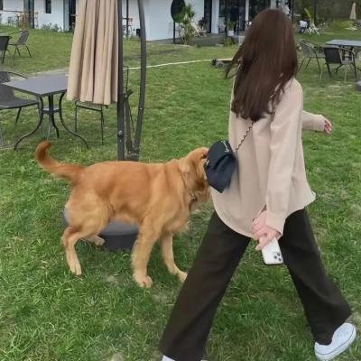 怪笑少女